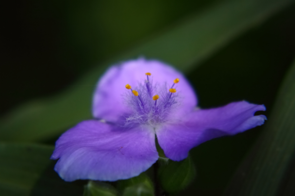 2012 05 28 4566